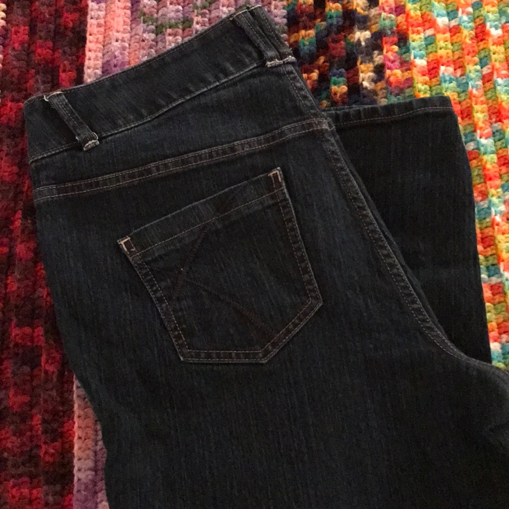 Lane Bryant Skinny 3T Jeans